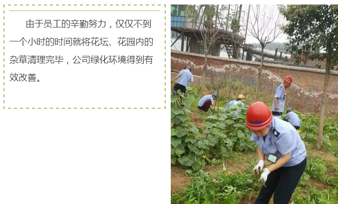 員工冒雨參加義務(wù)勞動(dòng)！感動(dòng)———偉志鋼模板廠家