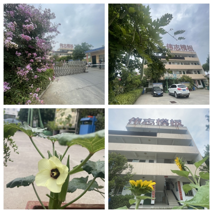 夏至來(lái)臨，期待美好