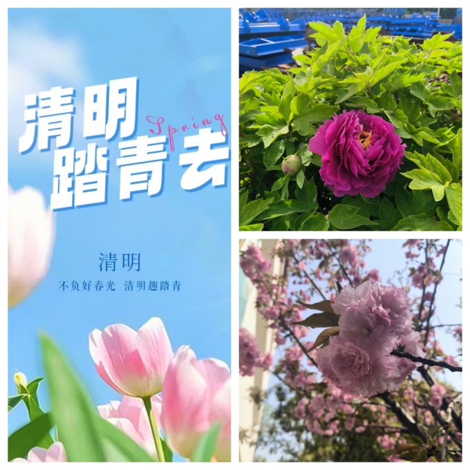 清明節(jié)，去踏春吧